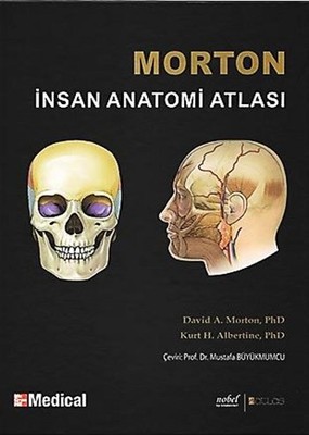 Morton İnsan Anatomisi