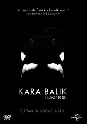 Blackfish - Kara Balik