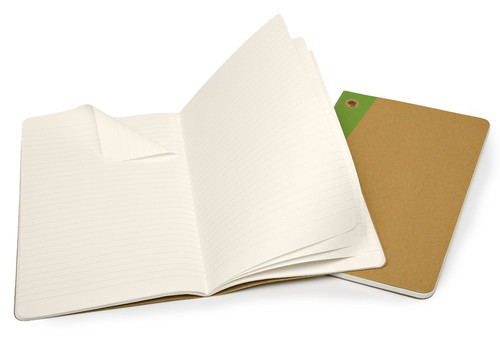 Moleskine Evernote Smart Ruled Journal Large Notebook (Çizgili)