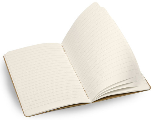 Moleskine Evernote Smart Ruled Journal Large Notebook (Çizgili)