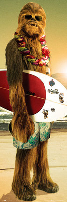 Star Wars Chewie Surf Door Poster DP0420