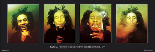 Bob Marley Excuse Me Door Poster DP0274