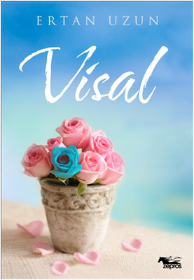 Visal