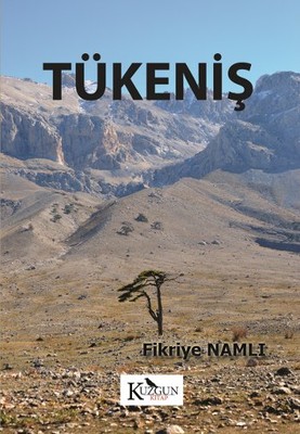 Tükeniş