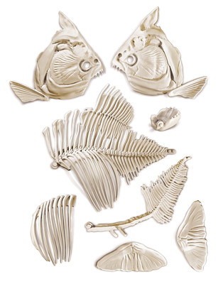 Clementoni Arkeolojik Kazi Seti - Piranha (Floresan) 64561