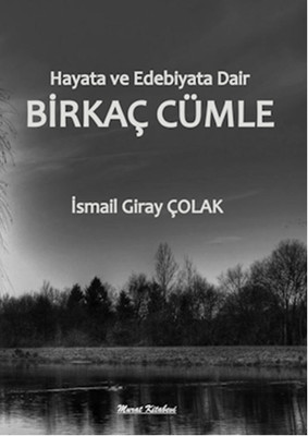 Hayata ve Edebiyata Dair Birkaç Cümle