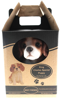King Charles Spaniel Puppy Biblo Gp-0769