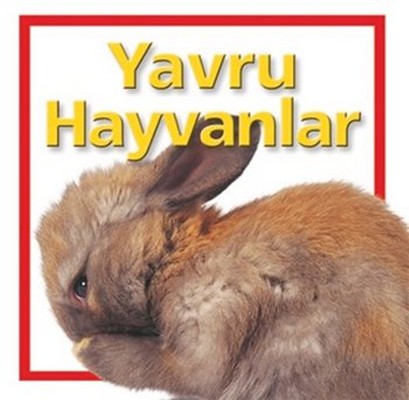 Yavru Hayvanlar