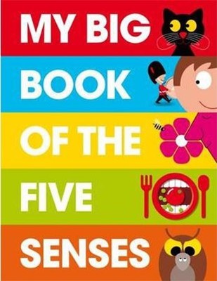 My Big Book of the Five Senses