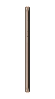 Samsung Galaxy S8 Plus SM G955FZDATUR Altın