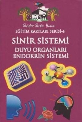 Sinir Sistemi Duyu Organları Endokrin Sistemi Eğitim Kartları Serisi 4