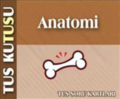 TUS Kutusu-Anatomi