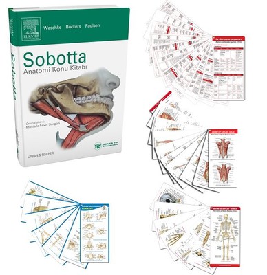 Sobotta Anatomi Konu Kitabı ve Anatomi Cep Kartları