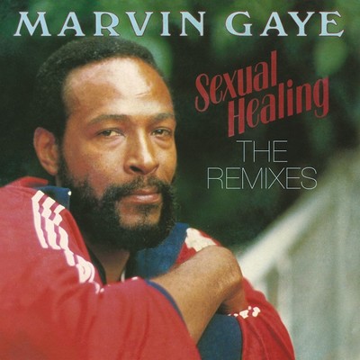 Sexual Healing: The Remixes Plak