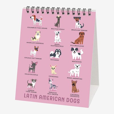 Legami Masa Takvimi Köpeklerin Dünyası 12x145 2019