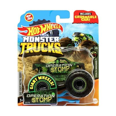 Hot Wheels Monster Trucks 1:64 Sürpriz Araba FYJ44