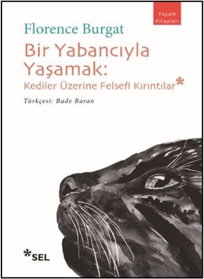 Bir Yabancıyla Yaşamak: Kediler Üzerine Felsefi Kırıntılar