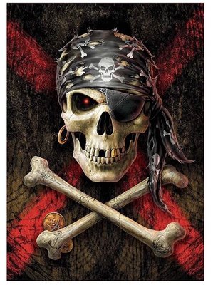 Educa 17964 Pirate Skull 500 Parça Puzzle FQ7152