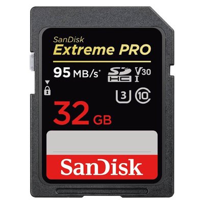 Sandisk SDSDXXG-032G-GN4IN 95