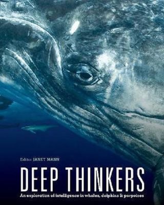 Deep Thinkers: An exploration of intelligence in whales dolphins and porpoises