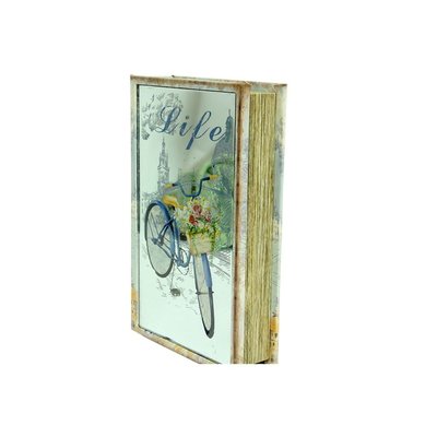 CW Kutu Kitap Aynalı Bisiklet C0131