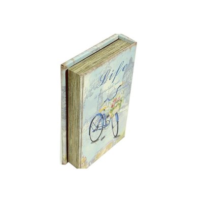 CW Kutu Kitap Aynalı Bisiklet C0131