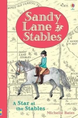 Sandy Lane Stables A Star at the Stables (Young Reading) (Young Reading Series 4)