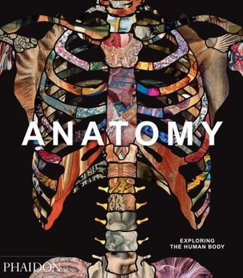 Anatomy: Exploring the Human Body (Explorer)