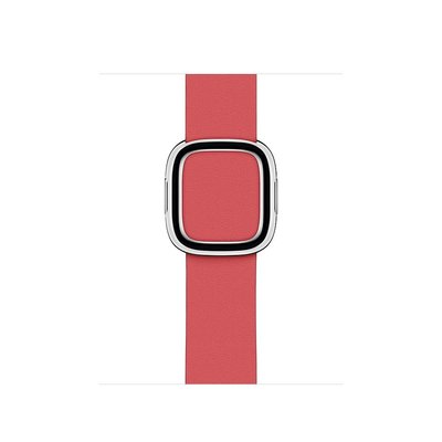Apple Watch 41 mm Klasik Kayış Yavruağzı Pembe