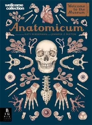 Anatomicum (Welcome To The Museum)