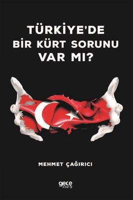 Türkiye'de Bir Türk Sorunu var mı?