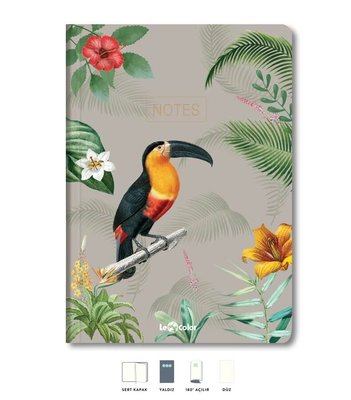 Le Color Tropical Kapak Papağan 17x24 Ciltli