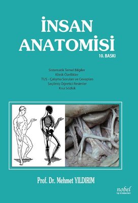 İnsan Anatomisi