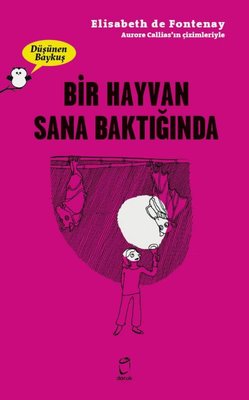 Bir Hayvan Sana Baktığında - Düşünen Baykuş