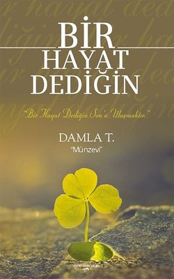 Bir Hayat Dediğin