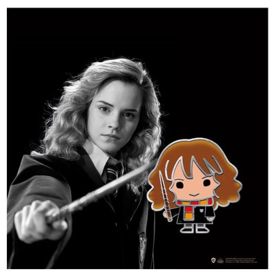 Wizarding World   Harry Potter Pin   Hermione