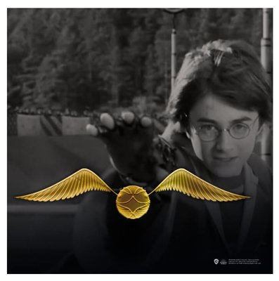 Wizarding World   Harry Potter Pin   Snitch