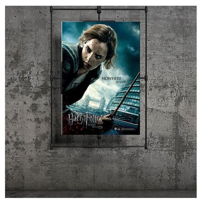 Wizarding World   Harry Potter Poster   Deathly Hallows P.1 Hermione B.