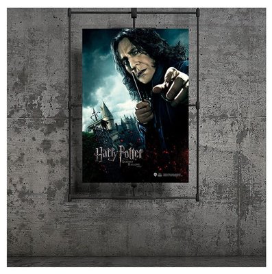 Harry Potter Wizarding World Deathly Hallows Part 1 Severus Snape Poster