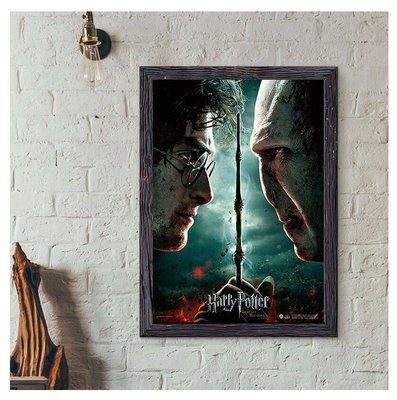 Harry Potter Wizarding World Deathly Hallows Part 2 Harry vs Voldermort Poster