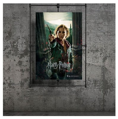 Harry Potter Wizarding World Deathly Hallows Part 2 Hermione Poster