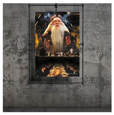 Harry Potter Wizarding World Dumbledore 2 Poster