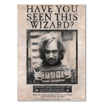 Harry Potter Wizarding World Have You Seen This Wizard Sirius Black Poster