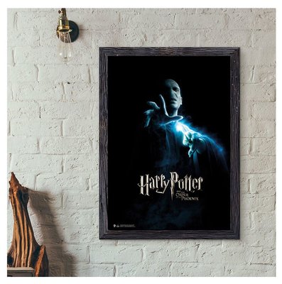 Harry Potter Wizarding World Order of the Phoenix Voldemort Poster