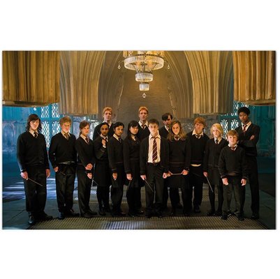 Harry Potter Wizarding World Dumbledore's Army Poster