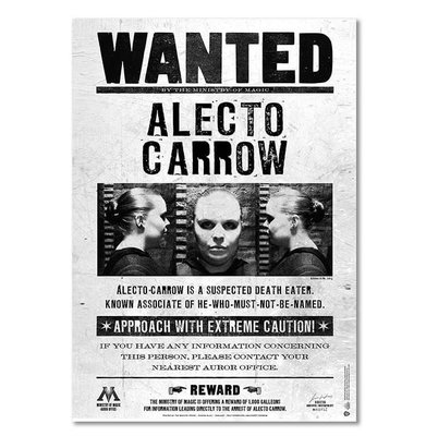 Harry Potter Wizarding World Wanted Alecto Carrow Poster