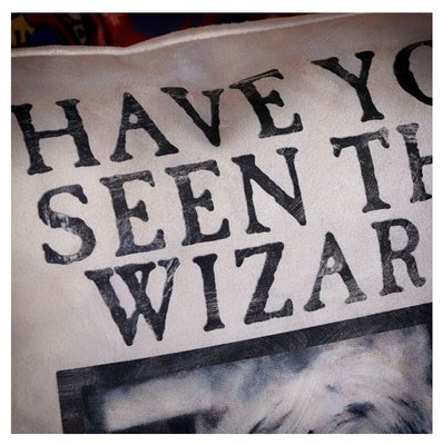 Wizarding World   Harry Potter Yastık   Have You Seen This Wizard