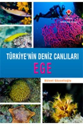 Ege - Türkiye'nin Deniz Canlıları
