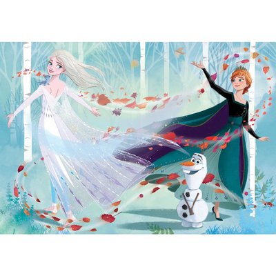 Clementoni Disney Frozen 2 104 Parça Happy Color Double Face Puzzle 25716