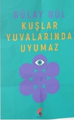 Kuşlar Yuvalarında Uyumaz